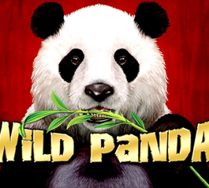 logo wild panda aristocrat