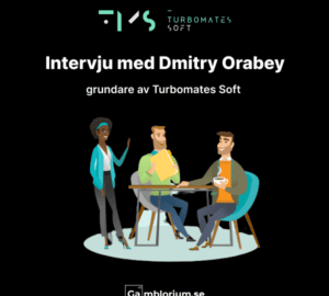 Intervju med Dmitry Orabey, grundare av Turbomates Soft