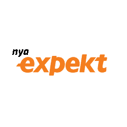 PNG EX logo nya epekt