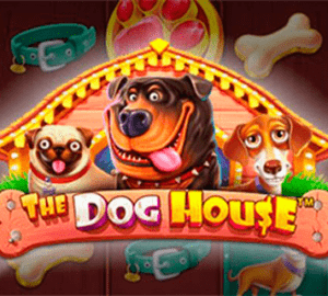 logo the dog house pragmatic