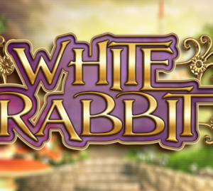 logo white rabbit big time gaming